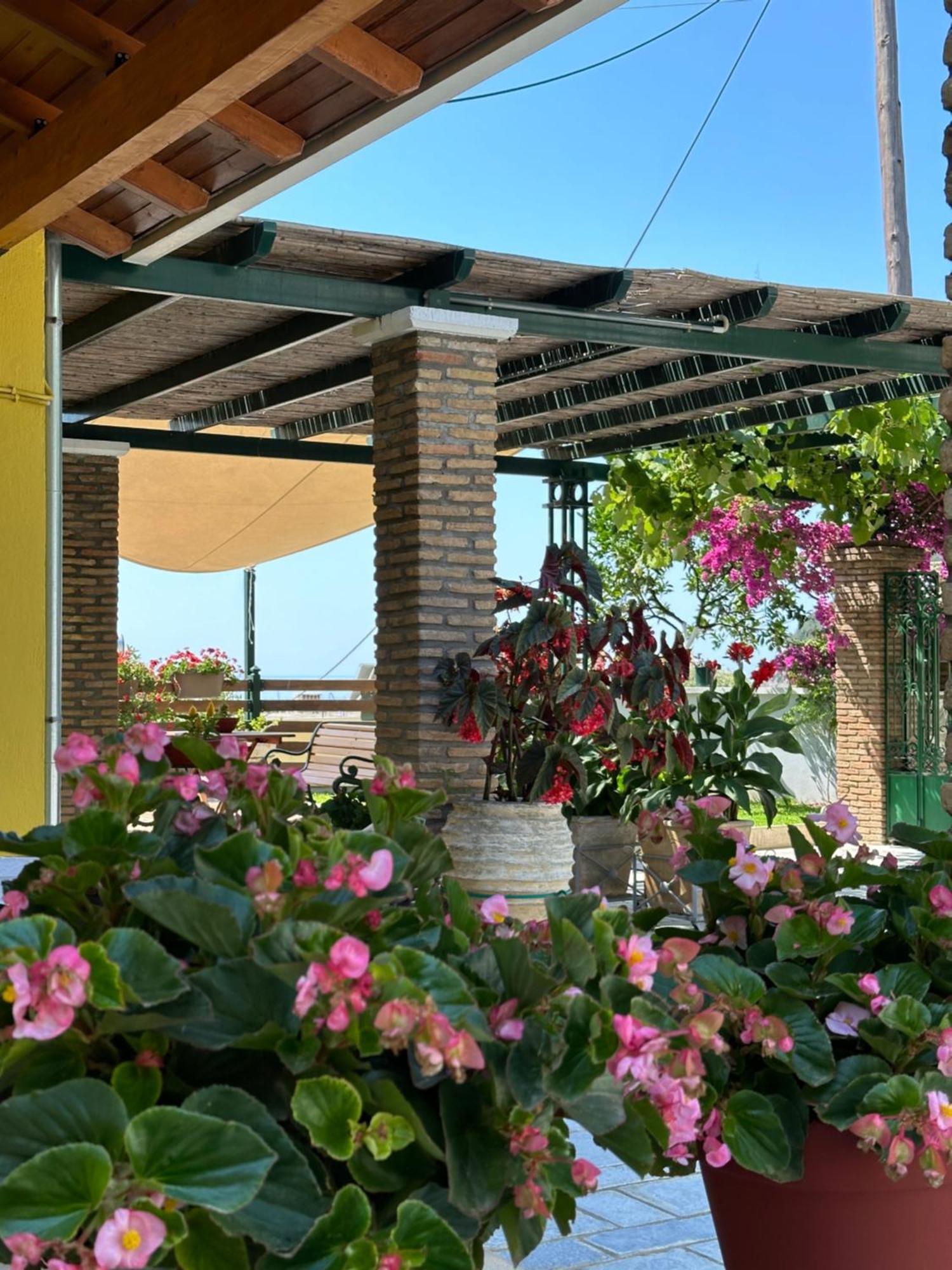 Villa Sofia Parga Esterno foto