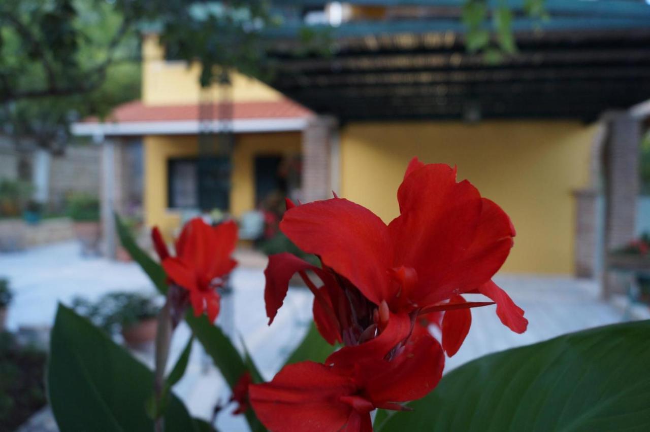 Villa Sofia Parga Esterno foto